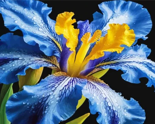 Blooming Blue Iris Diamond Painting