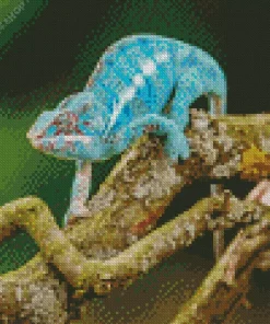 Blue Chamelon On Branch Diamond Painting