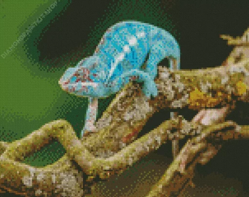 Blue Chamelon On Branch Diamond Painting