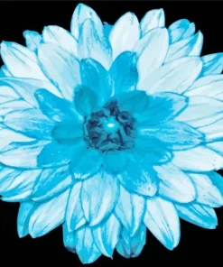 Blue Dahlia Diamond Painting