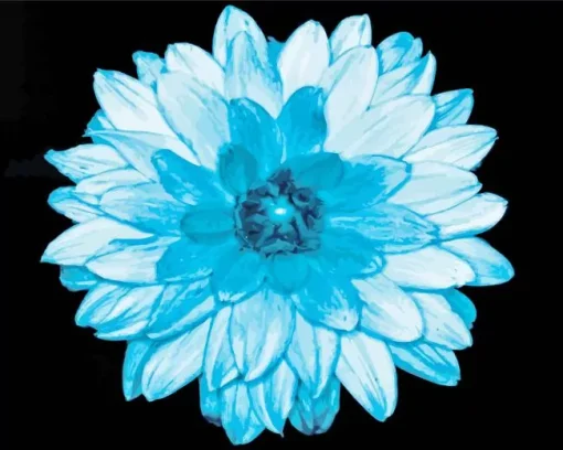 Blue Dahlia Diamond Painting