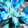 Blue Lilies Diamond Painting