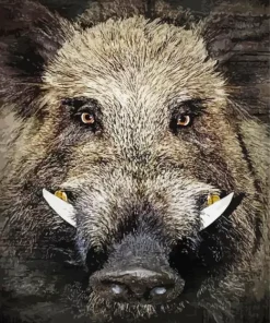 Boar Face Diamond Painting