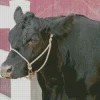 The Aberdeen Angus Diamond Painting