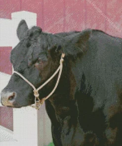 The Aberdeen Angus Diamond Painting