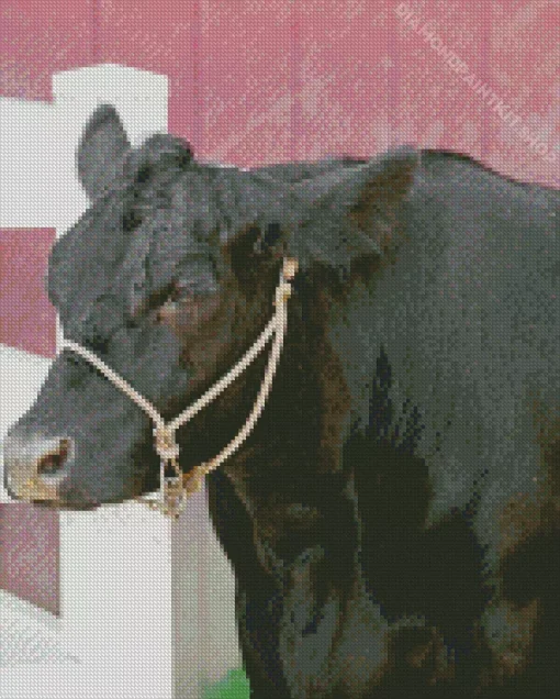 The Aberdeen Angus Diamond Painting