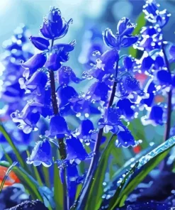 Water Drops On Bluebells Diamond Painting