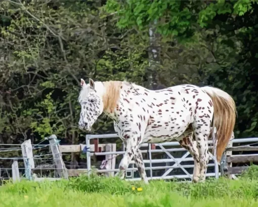 Appaloosa Leopard Diamond Painting