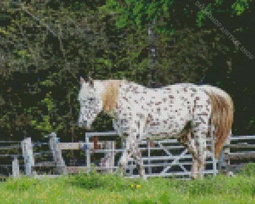 Appaloosa Leopard Diamond Painting