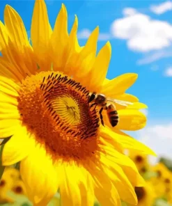 Bee On Sunflower Diamond Painting