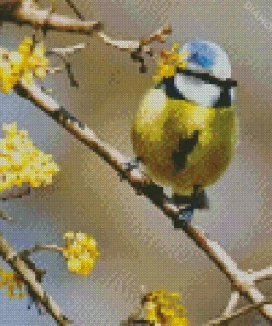 Bird Blue Tit Diamond Painting