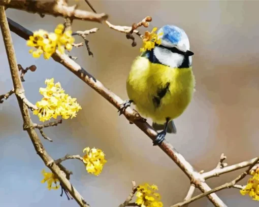 Bird Blue Tit Diamond Painting