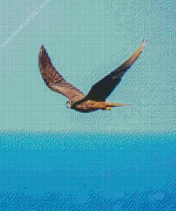 Bird Flying Over Ocean Diamond Painting