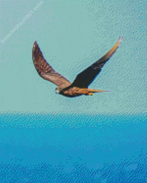 Bird Flying Over Ocean Diamond Painting