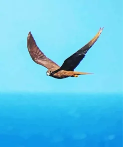 Bird Flying Over Ocean Diamond Painting