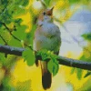 Bird Singing Diamond Painting