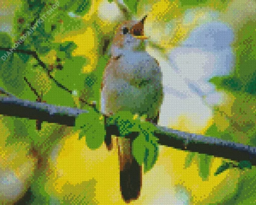 Bird Singing Diamond Painting