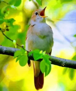 Bird Singing Diamond Painting