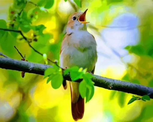 Bird Singing Diamond Painting