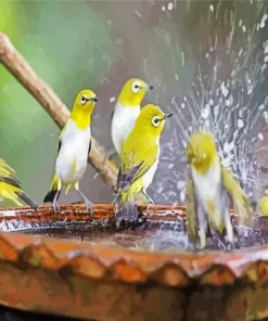 Birds Bath Diamond Painting