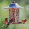 Birds Feeder Diamond Painting