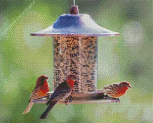 Birds Feeder Diamond Painting