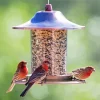 Birds Feeder Diamond Painting