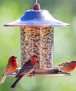 Birds Feeder Diamond Painting