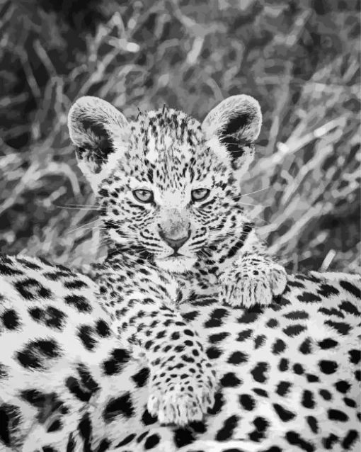 Black And White Leopard Diamond Painting