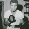 Black And White Muhammad Ali Diamond Painting