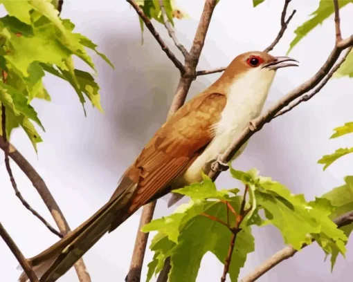 Black Billed Cuckoo Diamond Painting