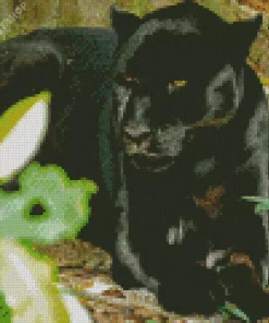 Black Jaguar Diamond Painting