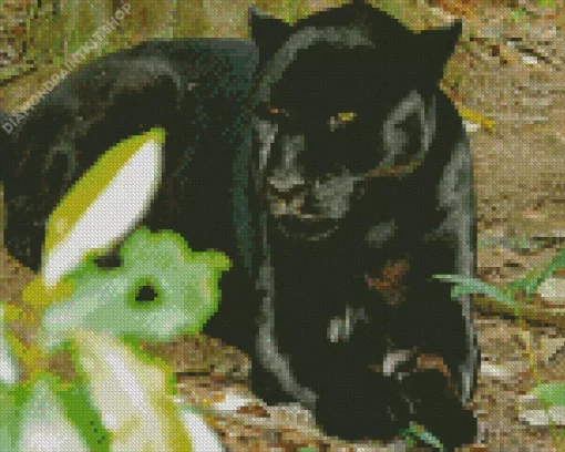 Black Jaguar Diamond Painting