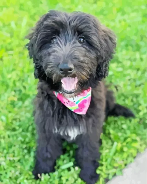 Black Mini Labradoodle Diamond Painting