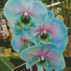 Blue And Pink Orchids Diamond Painting