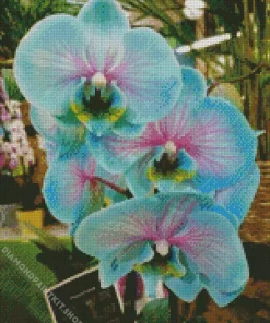 Blue And Pink Orchids Diamond Painting