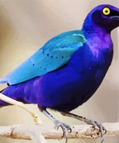 Blue And Purple Bird Diamond Painting