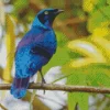 Blue And Purple Bird On Stick Diamond Painting