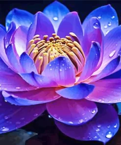 Blue And Purple Lotus Flower Diamond Painting