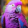 Blue And Purple Parrot Diamond Painting