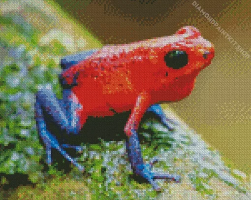 Blue And Red Frog Diamond Painting