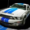 Blue And White Mustang Diamond Painting