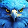 Blue Bird Face Diamond Painting