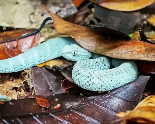 Blue Bush Viper Diamond Painting