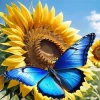 Blue Butterfly And Flower Diamond Painting