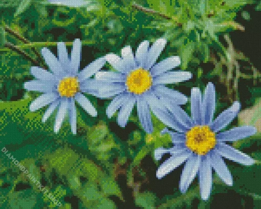 Blue Chamomile Flowers Diamond Painting