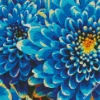 Blue Chrysanthemum Diamond Painting