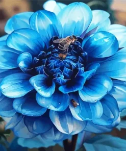 Blue Chrysanthemum Flower Diamond Painting