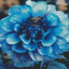 Blue Chrysanthemum Flower Diamond Painting