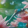 Blue Dragonfly On Flower Diamond Painting